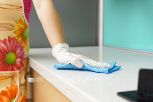 Professional carpet cleaners cleaning a London apartment