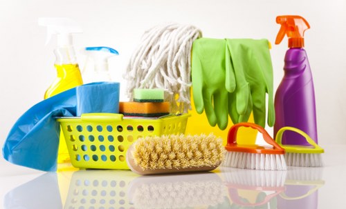 Professional carpet cleaners working in a London home