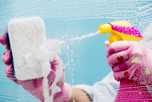 Eco-friendly cleaning products used by our team