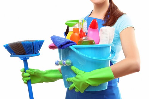 Carpet cleaner providing window cleaning services