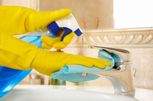 Expert technicians performing deep carpet cleaning