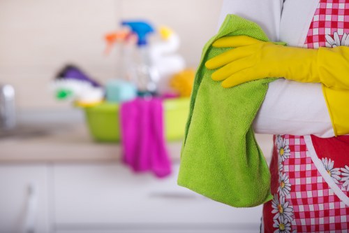 London carpet cleaners offering gutter maintenance