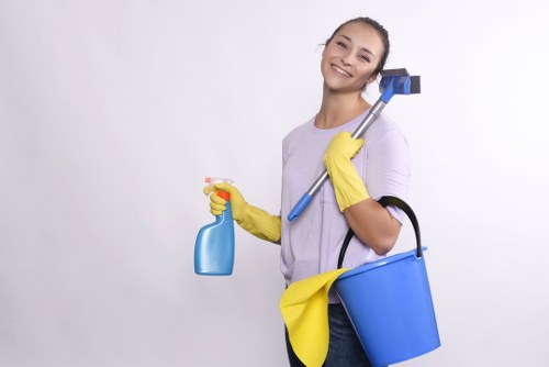 Cleaners using equipment for deep carpet cleaning