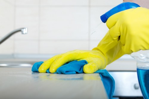 Eco-friendly carpet cleaning solutions