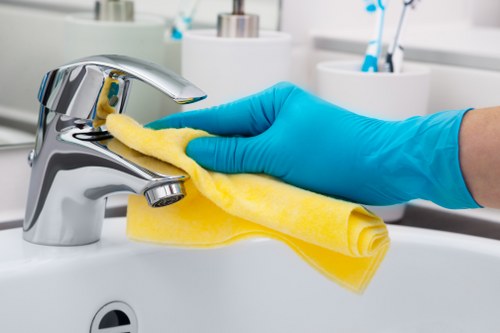 Customized carpet cleaning plans for homes