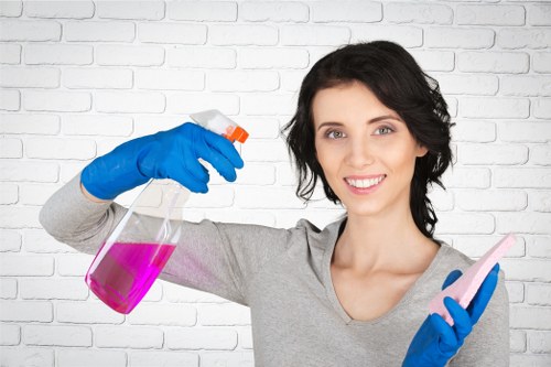 Eco-friendly cleaning solutions being applied to a carpet
