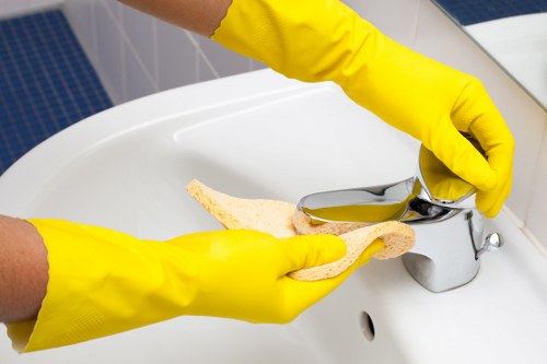 Technician using advanced steam cleaning equipment