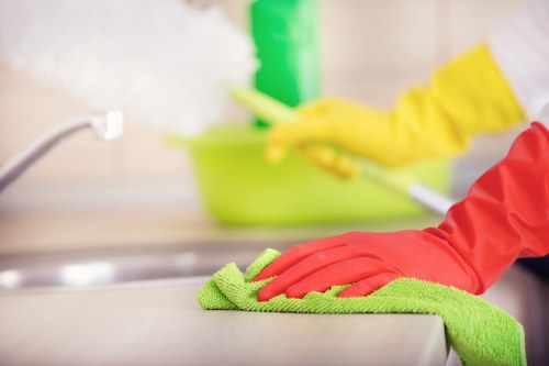 Eco-friendly carpet cleaning process in London